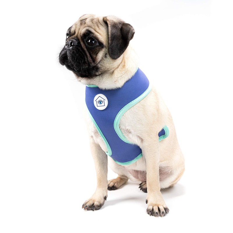 Now House for Pets by Jonathan Adler Terrazzo Reversible Harness,