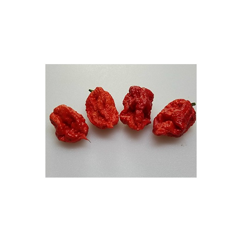 Skunk Red Hot Pepper 10+ Seeds