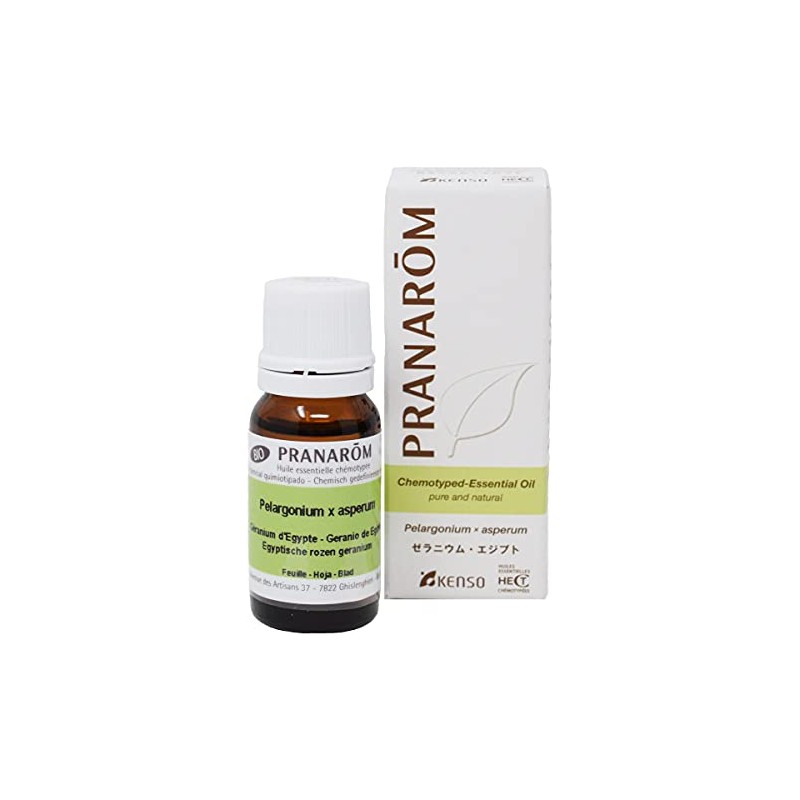 Geranium Egypt 10ml Middle Notebook, Pranarom Essential Oil (Essential Oil)