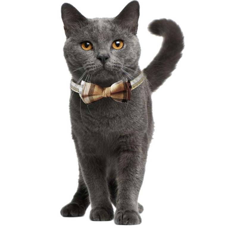 KUDES 2 Pack/Set Cat Collar Breakaway with Cute Bow Tie