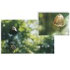 Oavand Japanese Traditional Lucky Small Wind Chimes for Outside, Iwachu