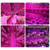 Peakloong LED Grow Light Full Spectrum 5V USB Grow Light