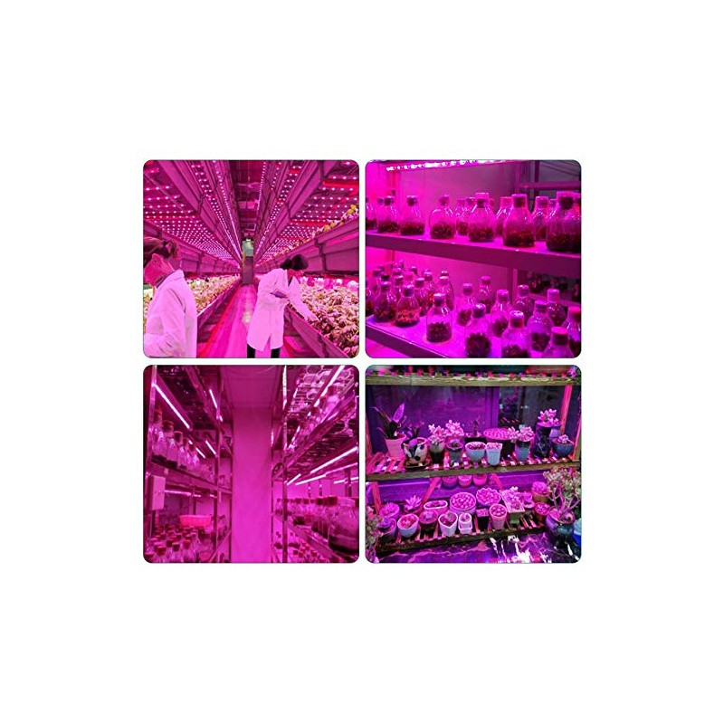 Peakloong LED Grow Light Full Spectrum 5V USB Grow Light