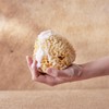 Natural Sponge Natural Grown Approx. 140 mm (Pack of 1)