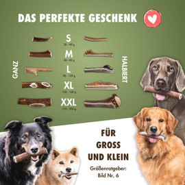 FOURLEGS® Natural Chew Snack for Dogs Made of 100% Deer Antlers - Minerals, Chew Toy, Chew Stick, Wild Flavour, Antlers, Bone, Deer, Chew Item - Size S Whole