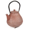 Creative Home Kyusu Cast Iron Tea Pot with Removable Stainless