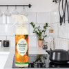 Absolute Green All Purpose Cleaner Spray, Non-Toxic, Kitchen, Bath, Countertop,