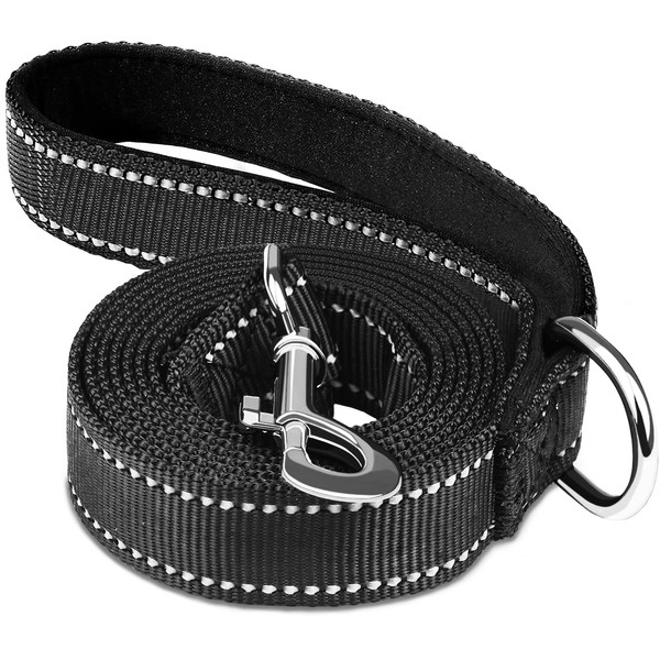 Dog Leash 6 FT, Double Sided Reflective Dog Leash with