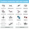 EVOTECH SCIENTIFIC Scientific Chemistry Molecular Model Kit (240 Pieces), Organic