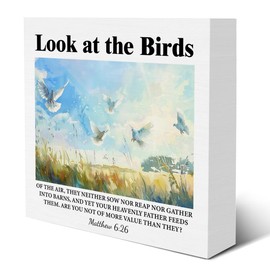 Inspirational Christian Sign Look at the Birds Wood Block Sign Bible Verses Decorative Desk Sign Home Bedroom Shelf Tabletop Decor 5 X 5 Inches