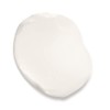 Oreal Paris Age Perfect Collagen Expert Anti Aging Day Face