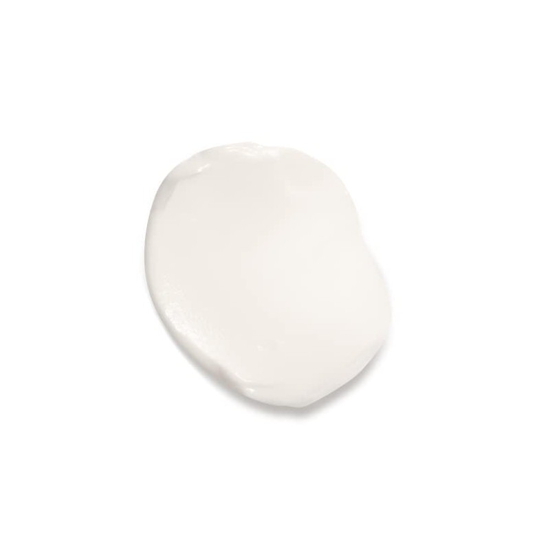 Oreal Paris Age Perfect Collagen Expert Anti Aging Day Face