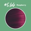 Oiamiga Raspberry Permanent Hair Colour with Natural Ingredients 120 ml