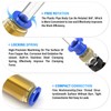 TAILONZ PNEUMATIC 4 mm OD Straight Through Baffle Quick Insertion
