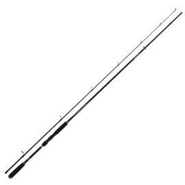 Daiwa Crossfire Sea Trout Rod 3.00 m 10-30 g for Casting, Spiders