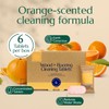 CLEANOMIC Wood and Flooring Cleaning Tablets (6 Pack) - All-Purpose