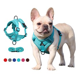 JOYPAWS Step in Dog Harness, 5FT Dog Basic Leash, No Pull Adjustable Pet Harness with Padded Vest, Escape Proof Soft Pet Supply No-Choke Easy to Put on Small Medium Sized Dogs Green XL