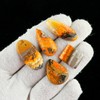 CRYSTALINES 5pcs Natural Bumble Bee Jasper Gemstones, Wholesale Jasper Cabochon,