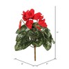 Vickerman FL170702 Floral Cyclamen Bush