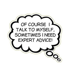 Of Course I Talk To Myself, Sometimes I Need Expert Advice Magnet