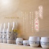 Premium Water Cream Silver A G [Human Lacto Formula]
