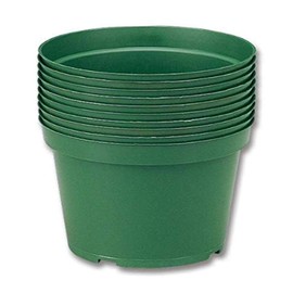Neo Sci 01-1177 Maceta de plástico de alto impacto, 6 pulgadas de diámetro (paquete de 10)