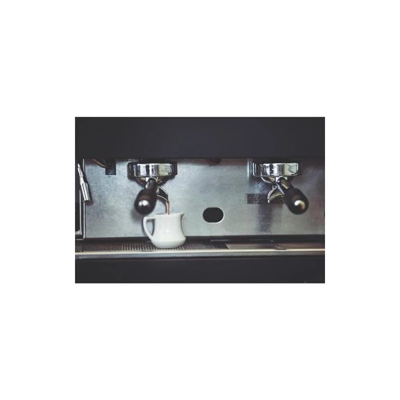 Gaggia Espresso Machine Decalcifier 8.45 Fl Oz Pack of 2