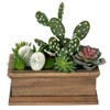 GnFlus Fake Cactus Plant Small Succulents Plants Artificial Succulents in