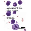 Differential Diagnosis Of Body Fluids In Small Animal Cytology