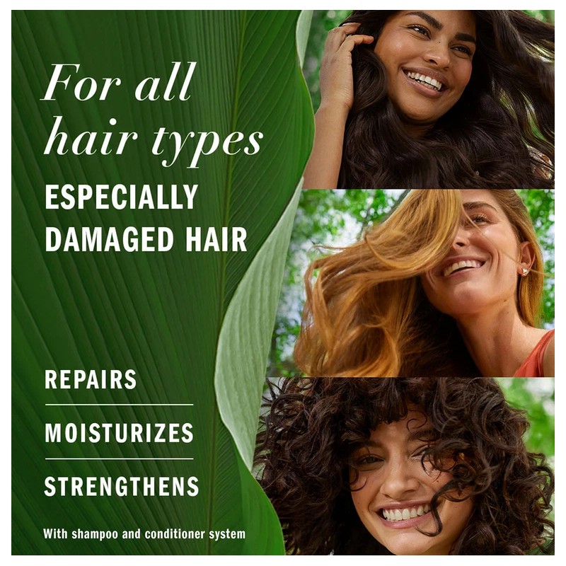 Herbal Essences Argan Oil & Green Tea Shampoo, 33.8 fl.