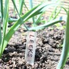 Nutley's 10cm Aluminium Labels Plant Seedling Markers (Pack of 250)