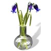 Gorgeous Glass Spring Bluebell Display
