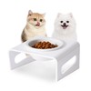Tilted Raised Elevated Food or Water Bowl Stand for Cat