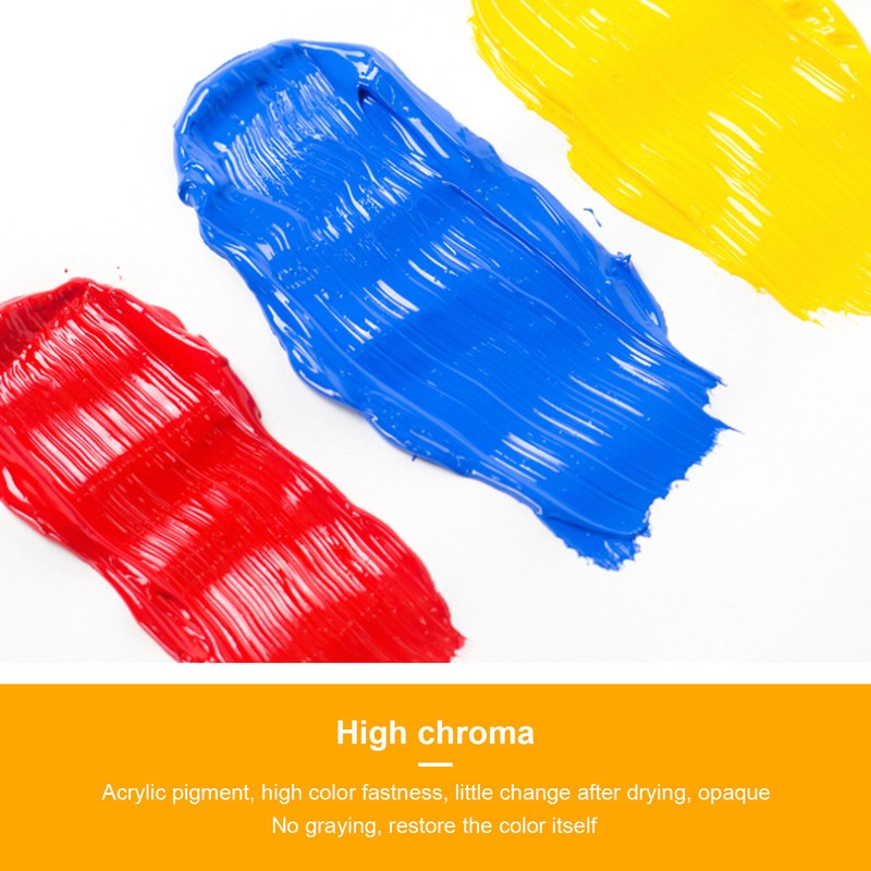 Acrylic Paint Set Hand Painted 12 Colors Pigment Tube for