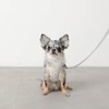 Monchéri Dog Harness, Cooling Ice Cream Pattern Harness + Lead
