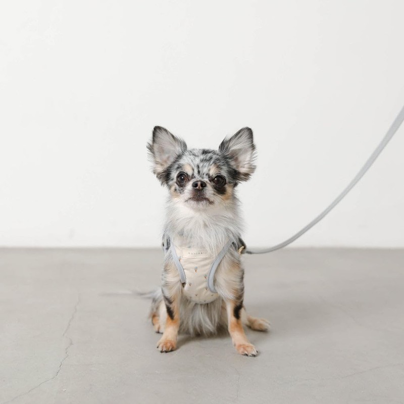 Monchéri Dog Harness, Cooling Ice Cream Pattern Harness + Lead