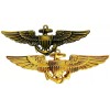 USN US Navy Aviation Wing Badge Naval Aviator Pilot Pins