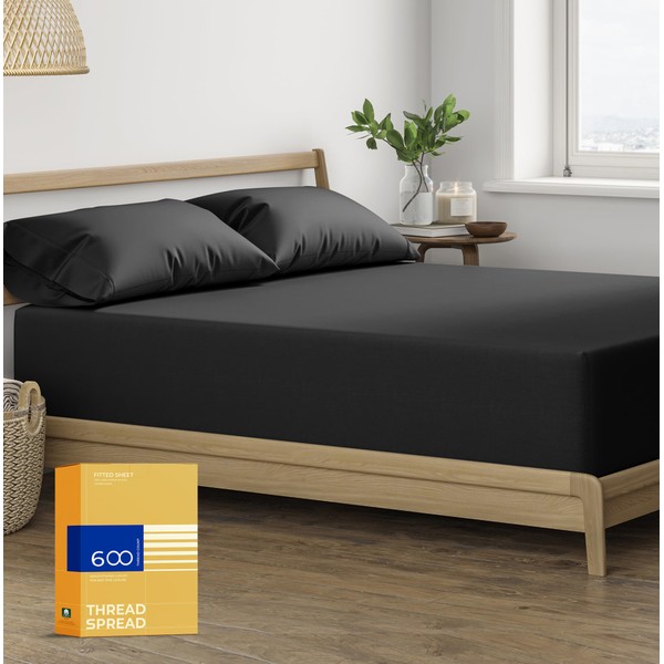 THREAD SPREAD Queen Size Fitted Sheet Only - 100% Egyptian
