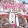 Nacalikeey Cute Smart Key Case Sakura Key Cover Key Holder