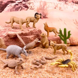 Safari Ltd. Desert TOOB - Figurines of Horned Lizard, Cactus, Road Runner, Scorpion, Rattlesnake, Coyote, Bobcat, Armadillo, Mountain Lion - Educational Toy Figures For Boys, Girls & Kids Ages 3+
