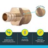 SharkBite 1/2 Inch Crimp MNPT Male Adapter, Brass Plumbing Fitting,