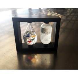 Weather Station Stormy grass and galileo thermometer (STEM)