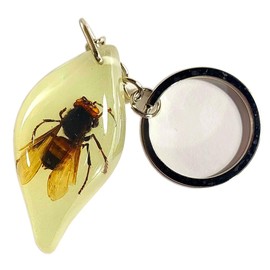 44mm Real Golden Crab in Amber Color Lucite Resin Keychain Aquatic Animal Taxidermy Sample Inside for Biology Science Education Decoration Tear Drop Key Ring Chain Pendant