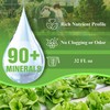 OceanSolution 2-0-3 All Natural Liquid Fertilizer – 32 Oz Concentrated