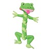 KONG BraidZ Frog Dog Toy, Medium (Colors Vary)