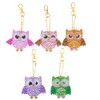 5PCS DIY Owl Diamond Painting Key Chain Acrylic Pendant Handmade