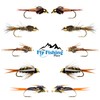 The Fly Fishing Place Basics Collection - Tungsten Bead Head