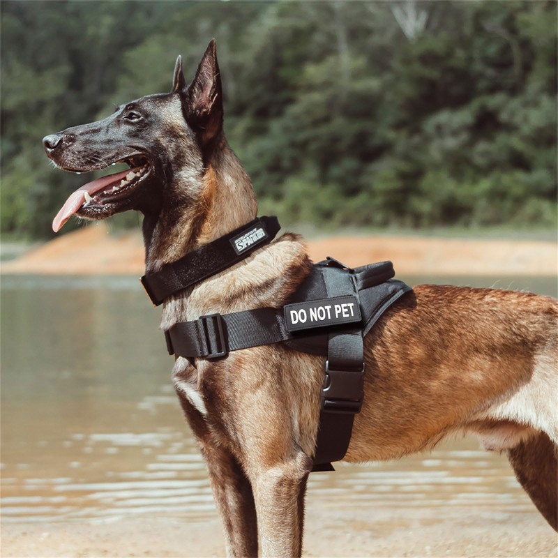 EXCELLENT ELITE SPANKER Harness, Nylon Harness, Dog, Small, Easy to