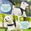 My Corgi Living Dog Harness, No Pull Design, Suitable for