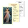 Holy Lines Laminated Divine Mercy Chaplet Prayer Card with Our